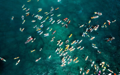 Standing Together for Maui